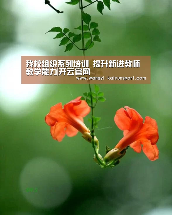 我校组织系列培训 提升新进教师教学能力|开云官网(图1) 开云中国官网